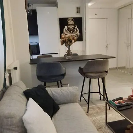 Elegant Warm 2 Bedroom In The 15th District Of Apartment Paris